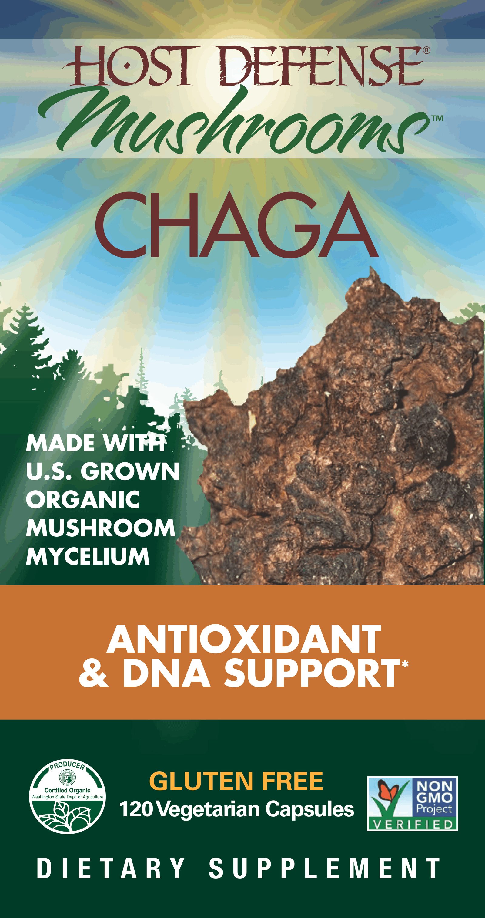 Chaga (Inonotus Obliquus) Capsules