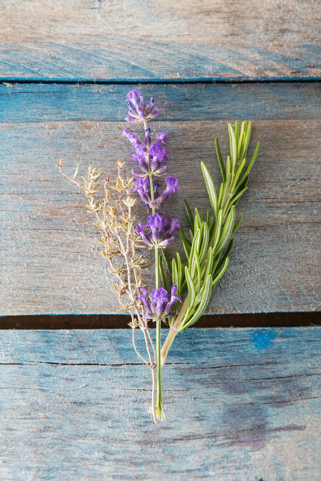 Essential Oil - Lemon Orchard Blend 12 ml