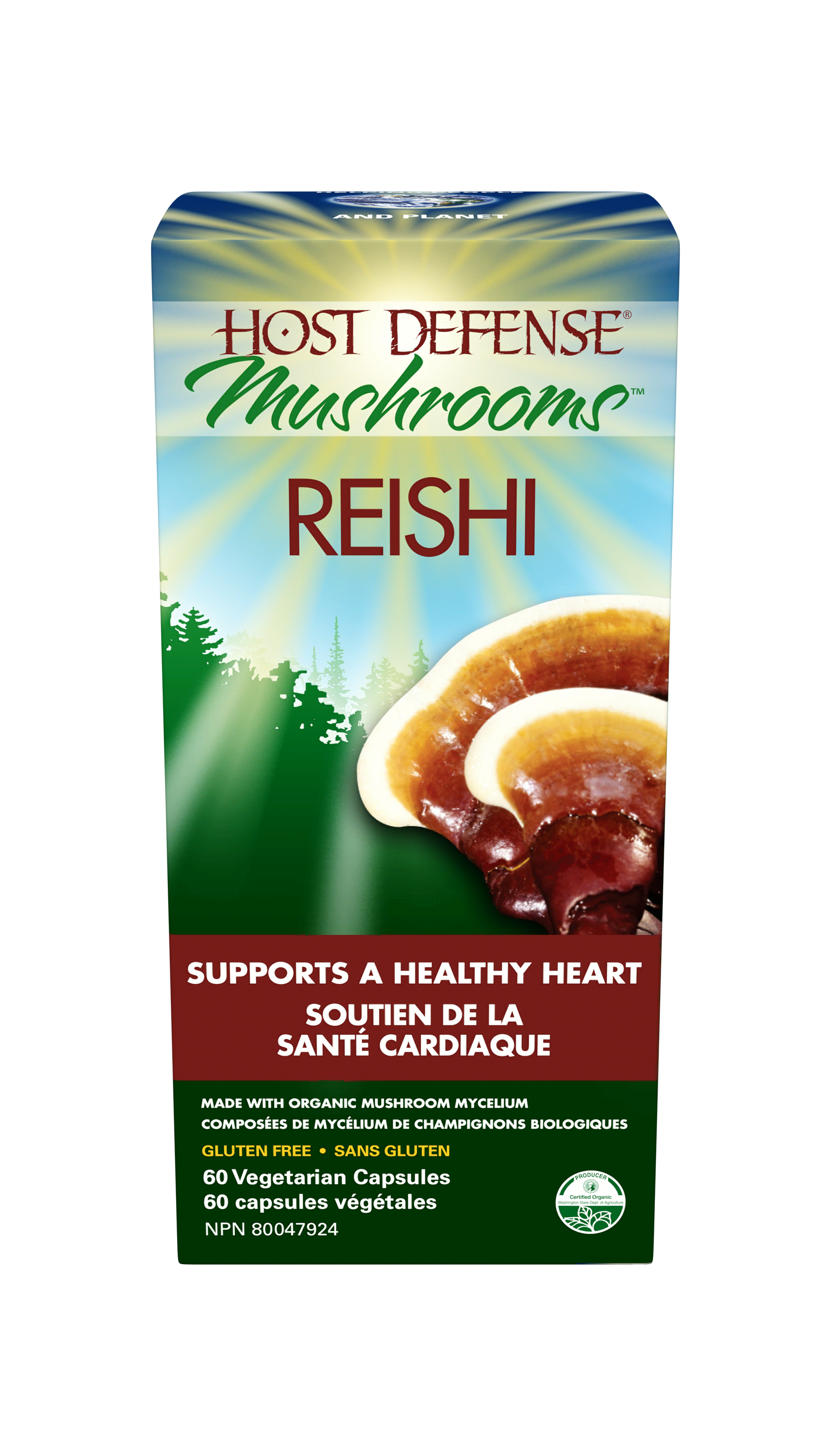 Reishi (Ganoderma Lucidum) Capsules