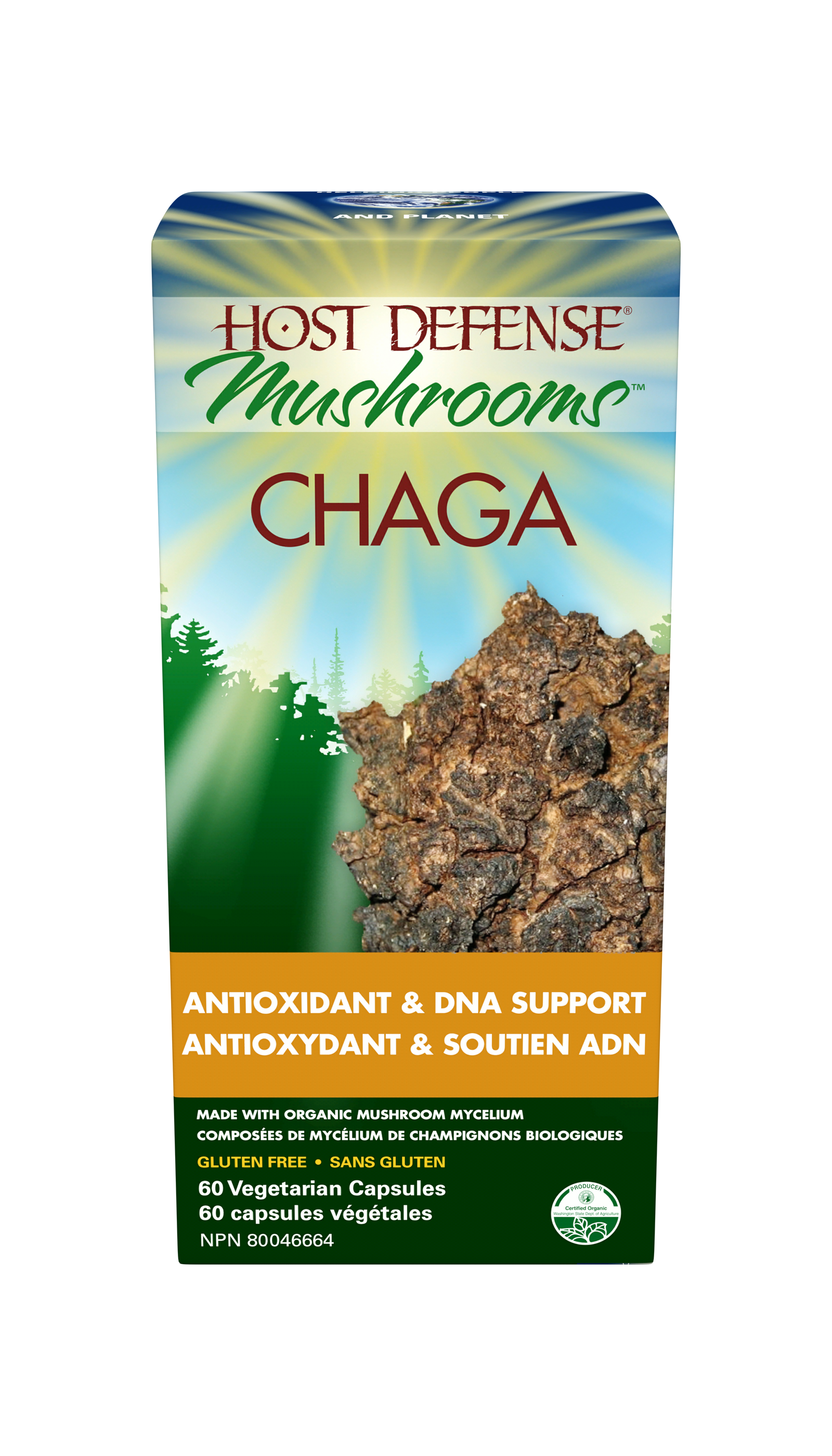 Chaga (Inonotus Obliquus) Capsules